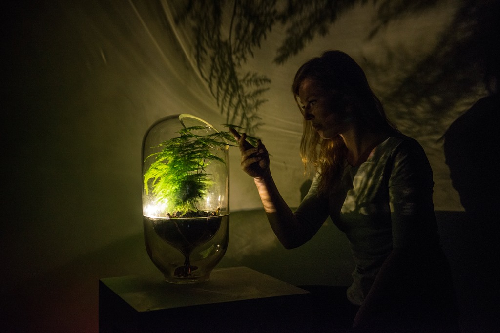 Living Light. Come si può trarre energia dalle piante.